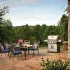 Napoleon Barbecue a Gas Rogue RSE625RSIB