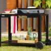 Piastra Liscia Elettrica la Petite Francaise 150 Duo