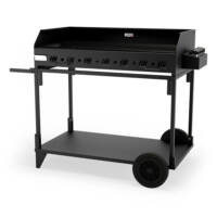 Plancha Pakita Nera 4105 Con Carrello